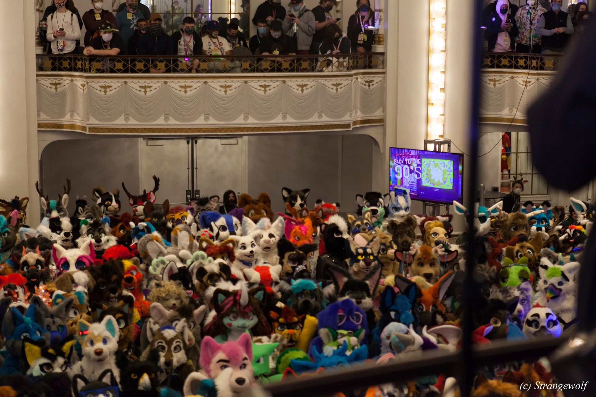 full image IMG_3090-lr19t.jpg