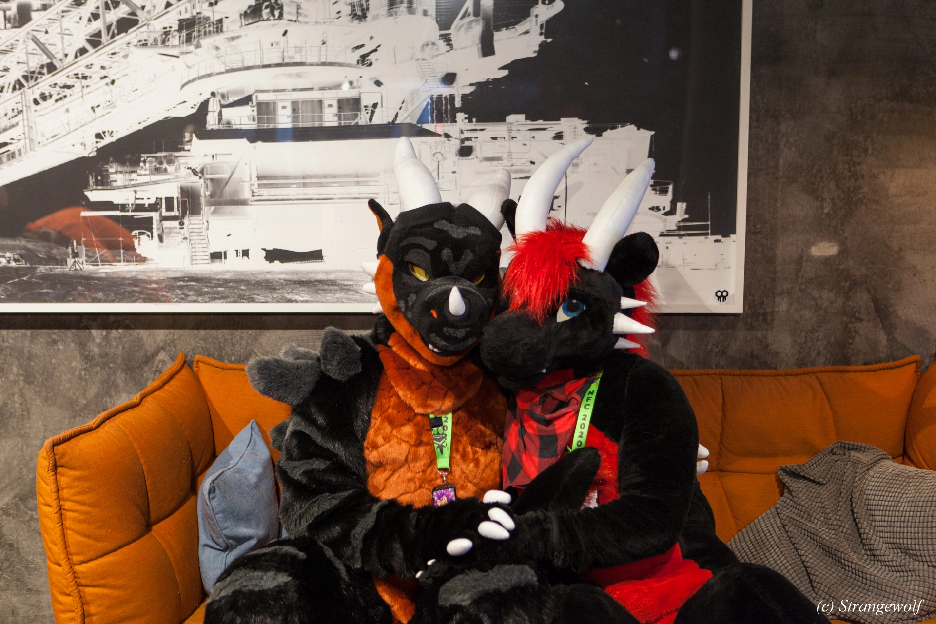 full image IMG_8919-lr19t.jpg