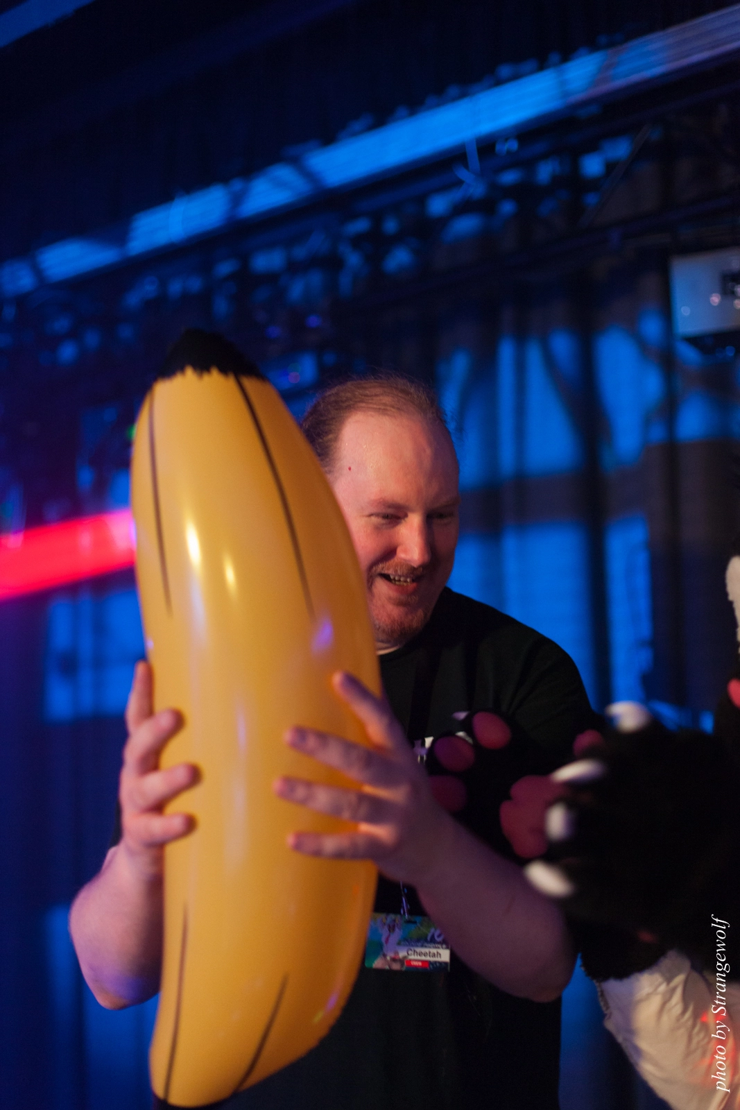 full image IMG_8821-lr16t.jpg