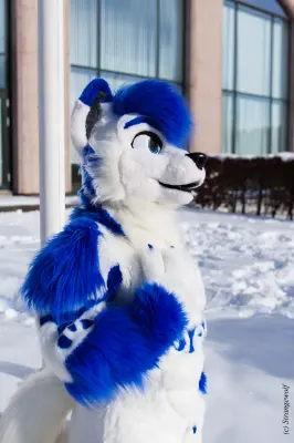 IMG_9950-lr19t.jpg of NFC/NFC2018/