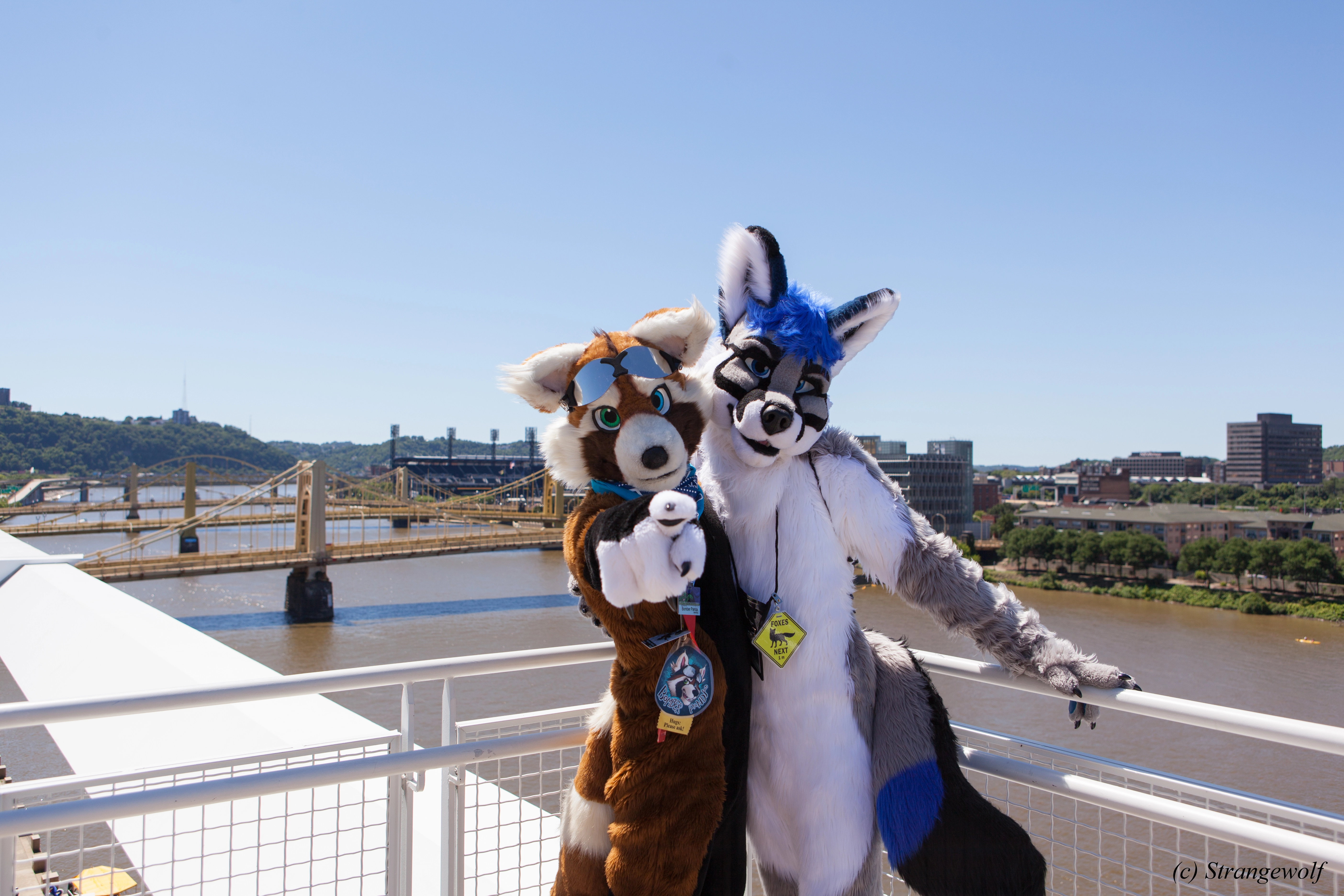 full image IMG_3961-lr.jpg