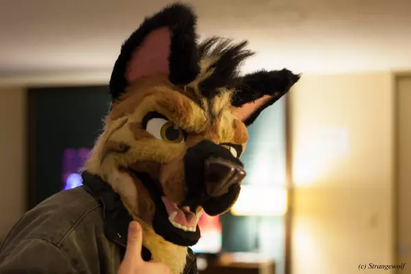 IMG_7398-lr19t.jpg of MFF/MFF2018/