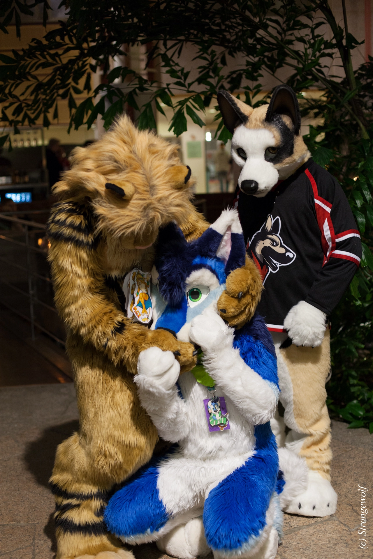 full image IMG_9054-lr19t.jpg