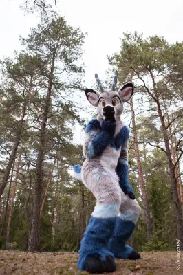 IMG_8617-lr19t.jpg of NFC/NFC2019/Shoot-Strife_Carlito/