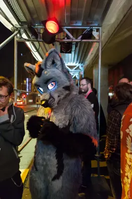 IMG_5451-lr16t.jpg of CFD/CFD14/