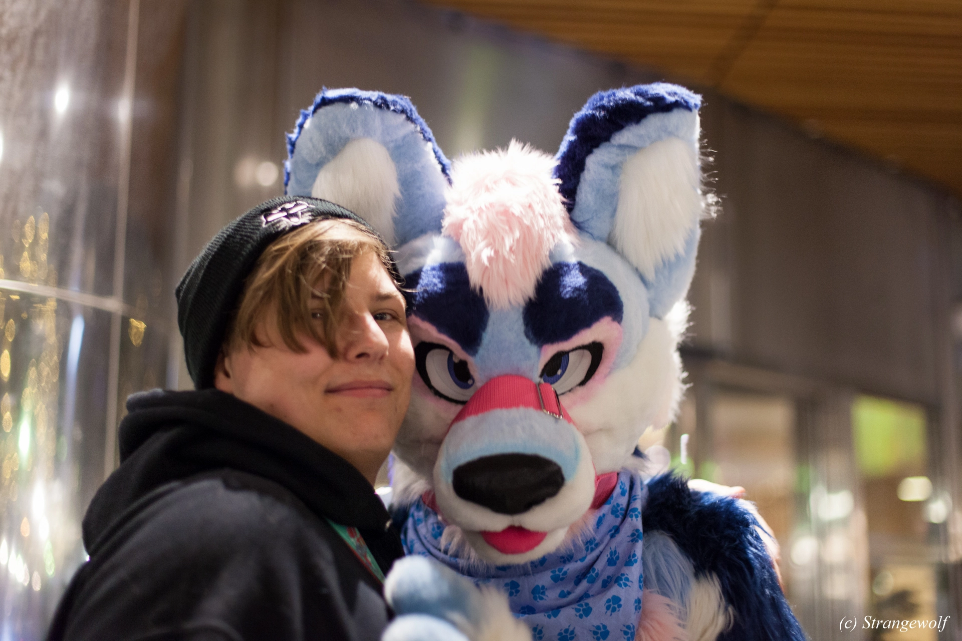 full image IMG_9424-lr19t.jpg