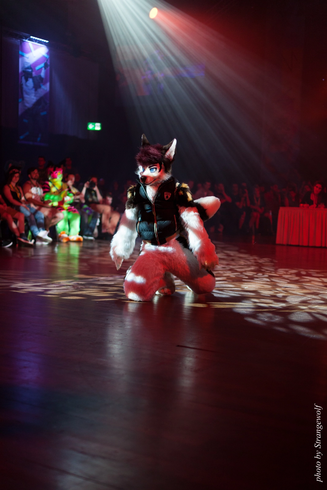 full image IMG_9448-lr16t.jpg
