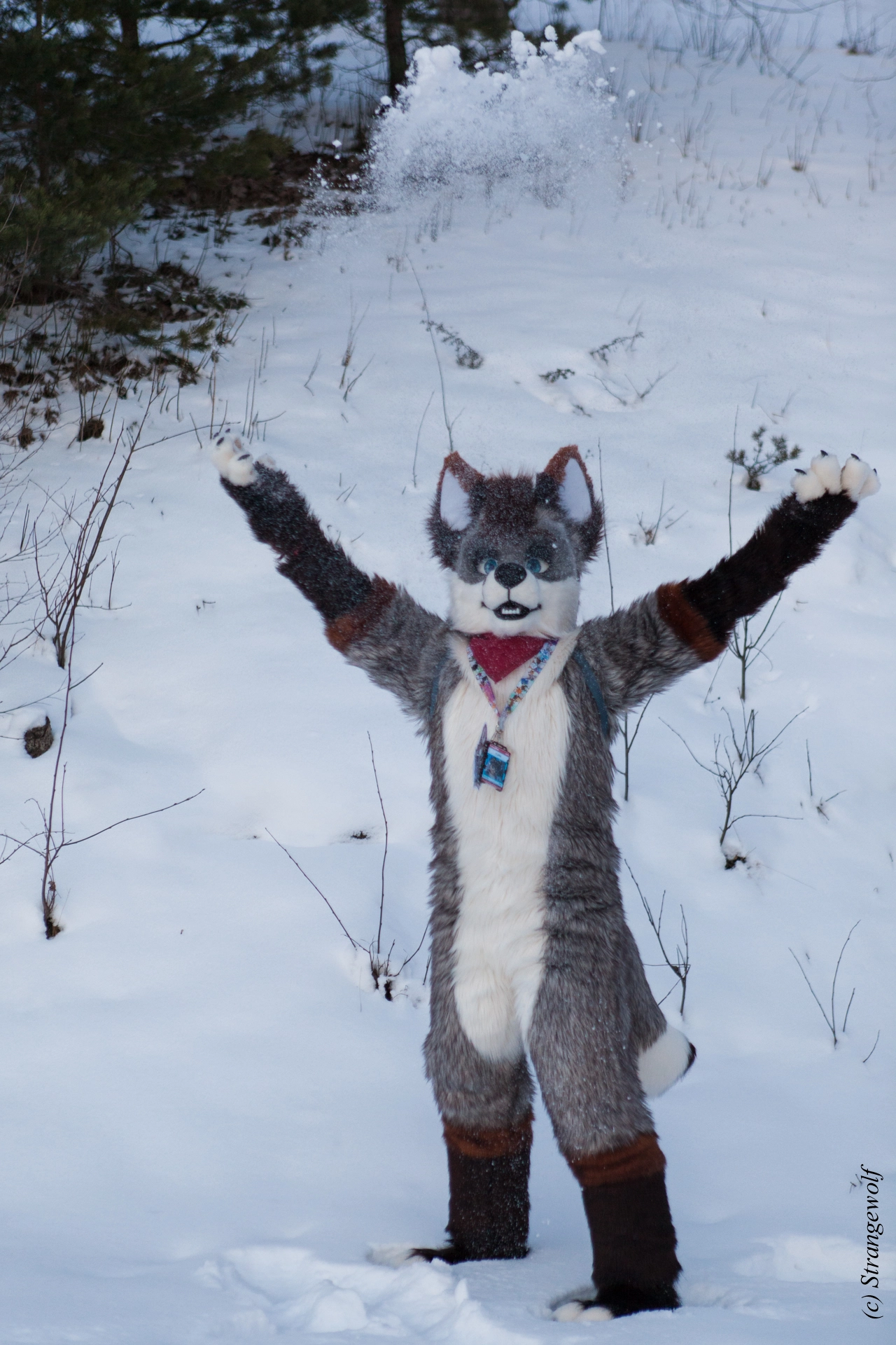 full image IMG_0580-lr19t.jpg