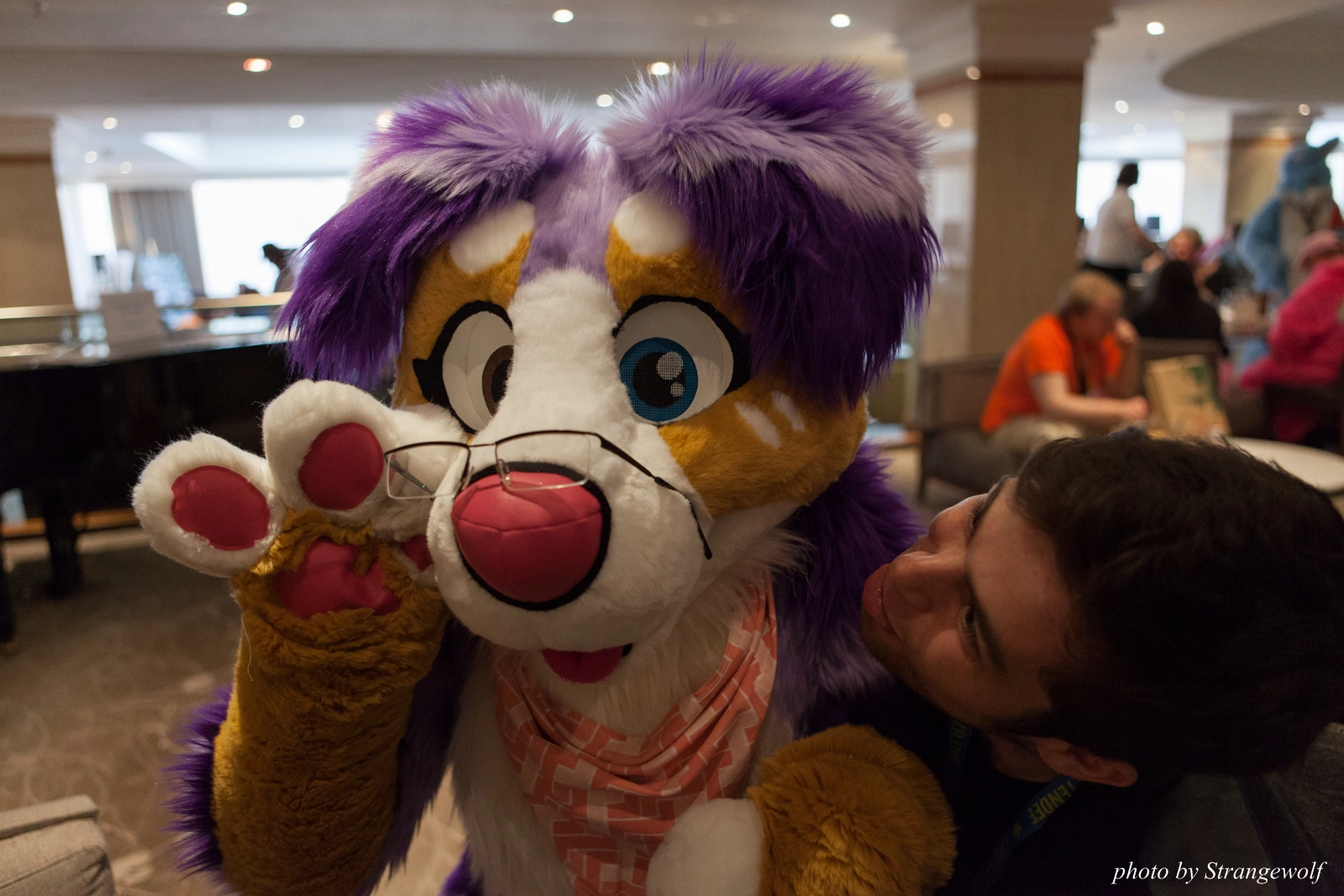 full image IMG_7509-lr16t.jpg