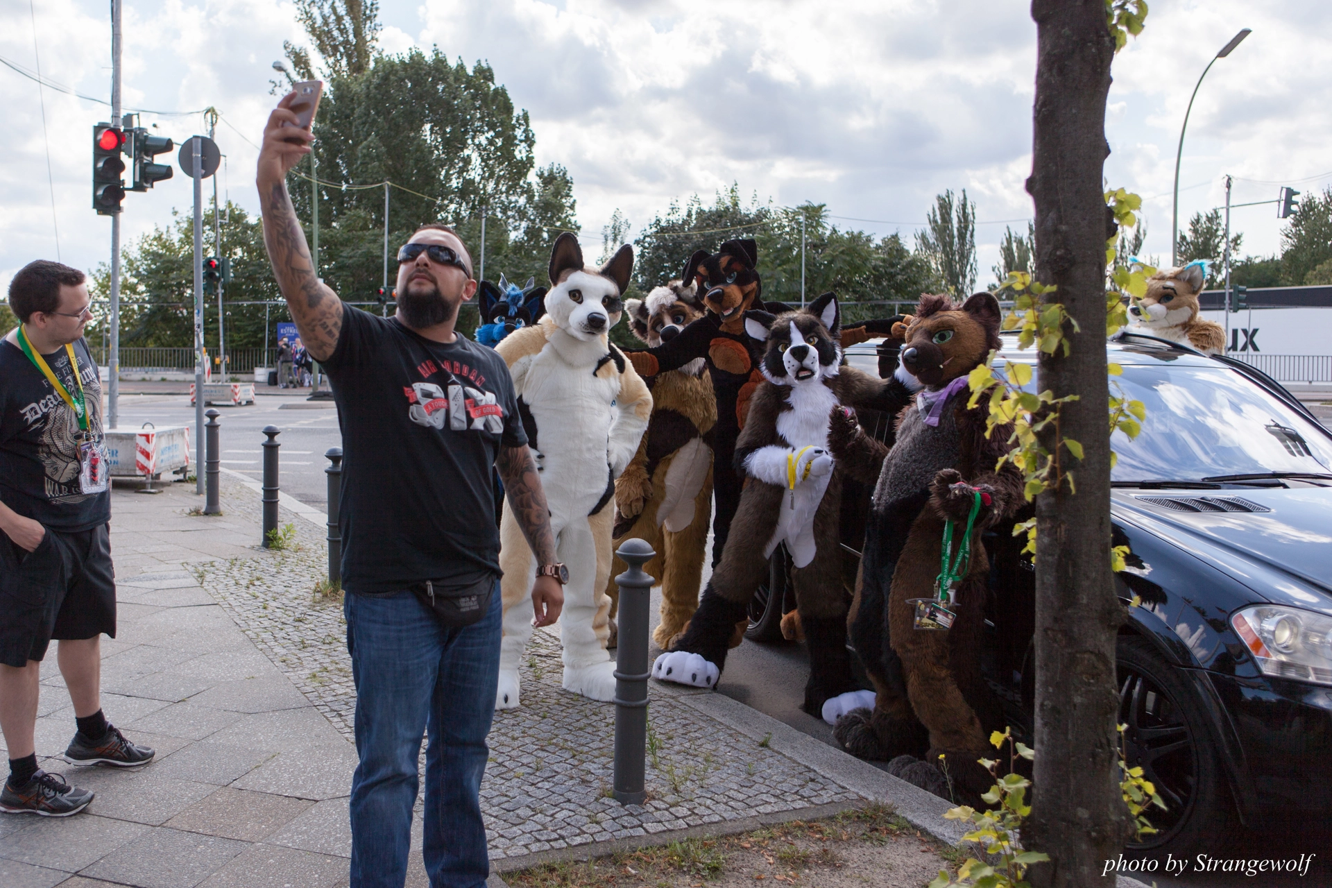 full image IMG_7246-lr19t.jpg