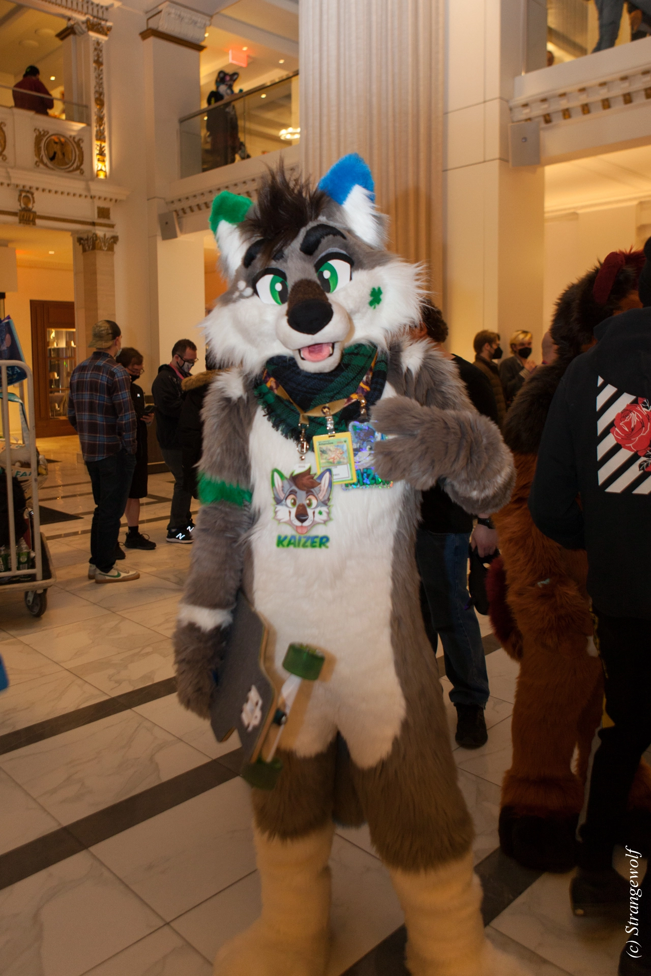 full image IMG_2798-lr19t.jpg