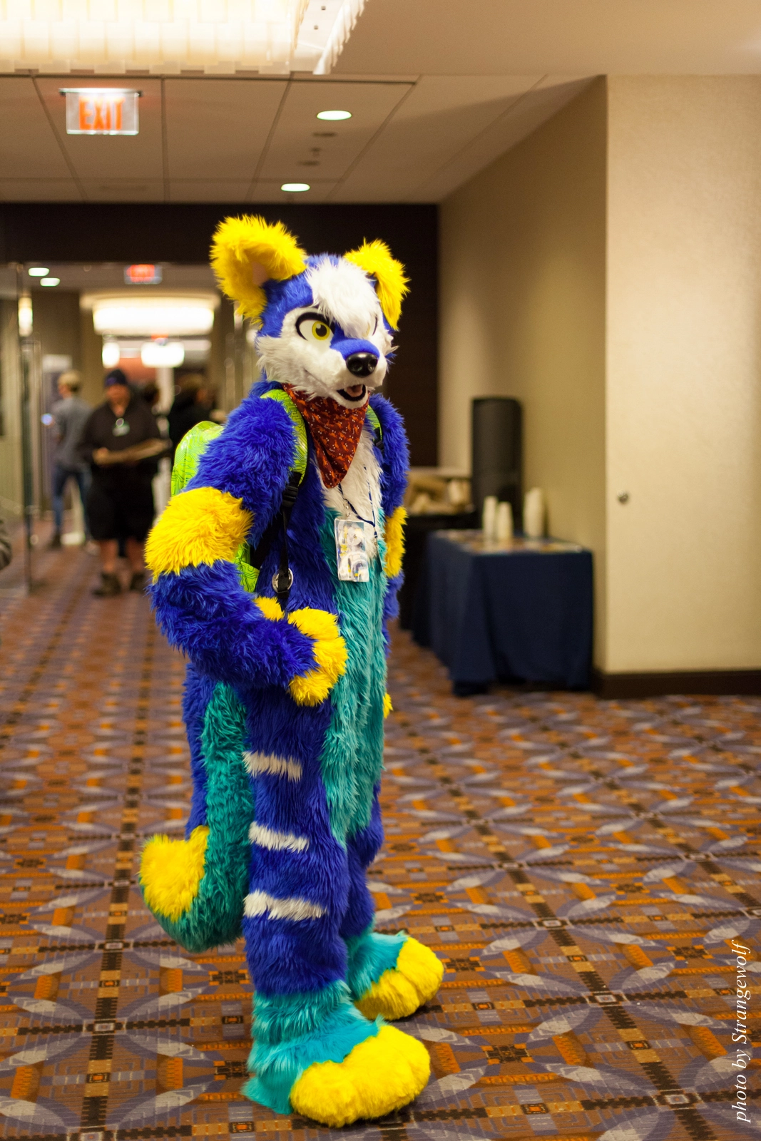 full image IMG_0879-lr16t.jpg