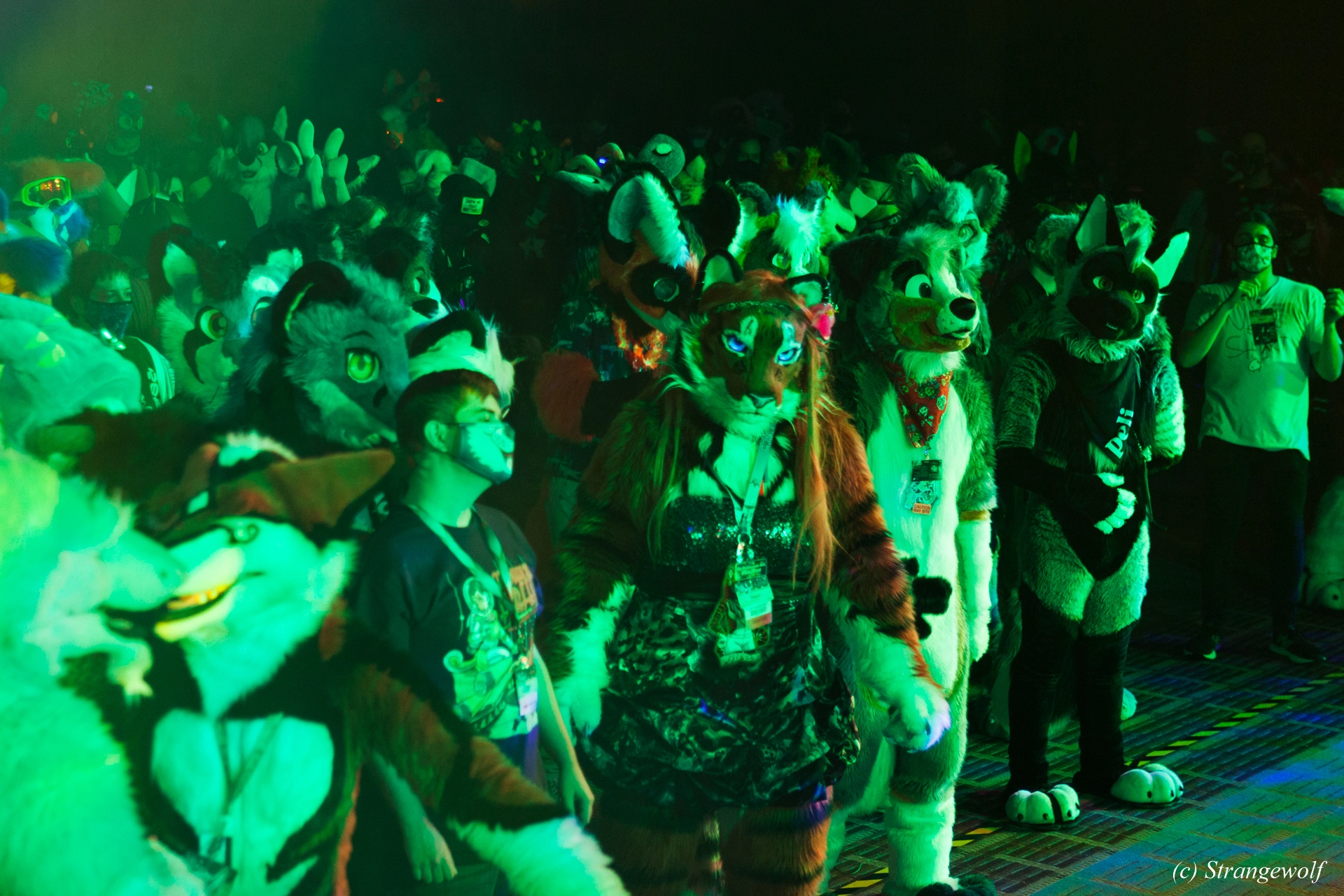 full image IMG_2363-lr19t.jpg