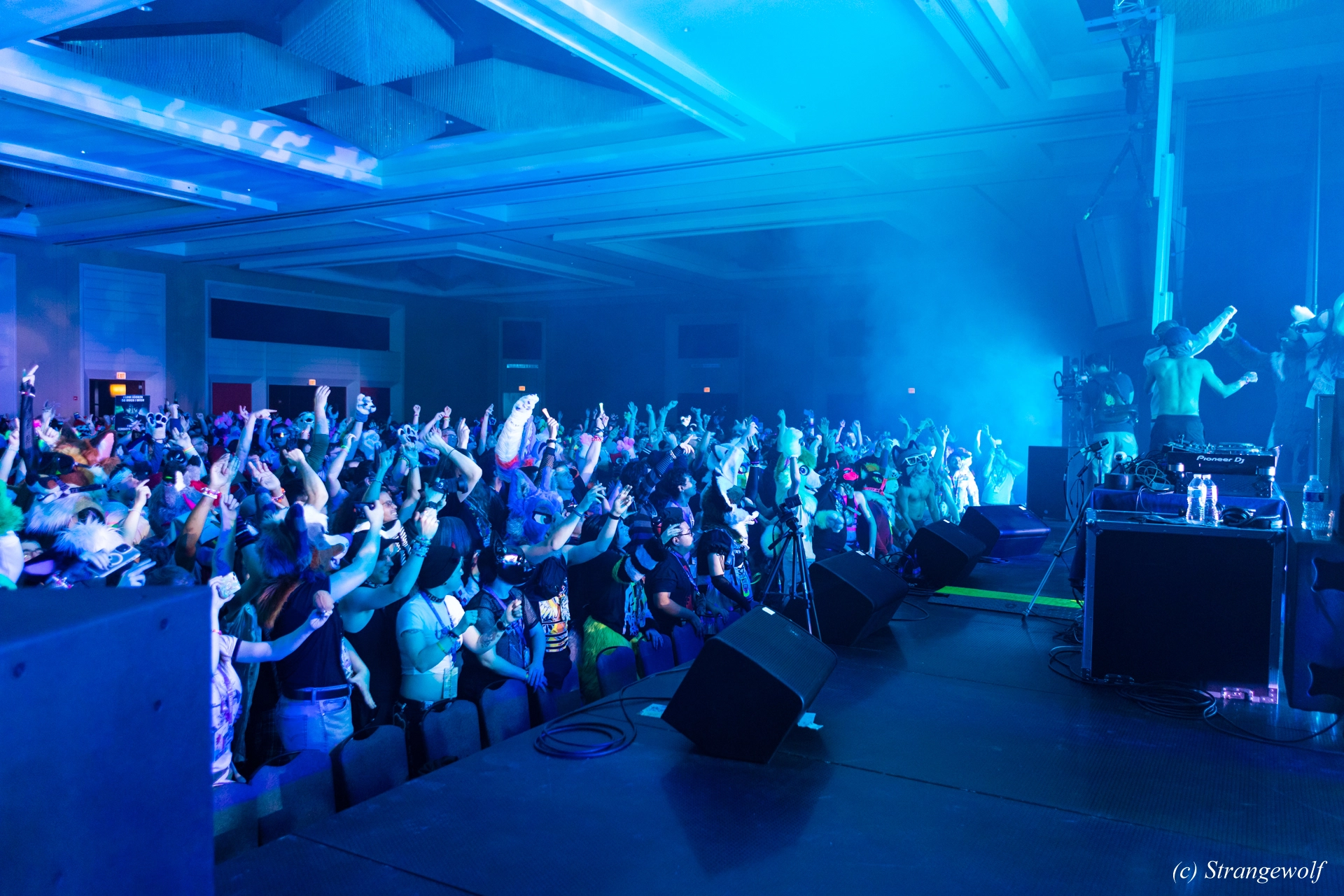 full image 1R3A5002-lr19t.jpg