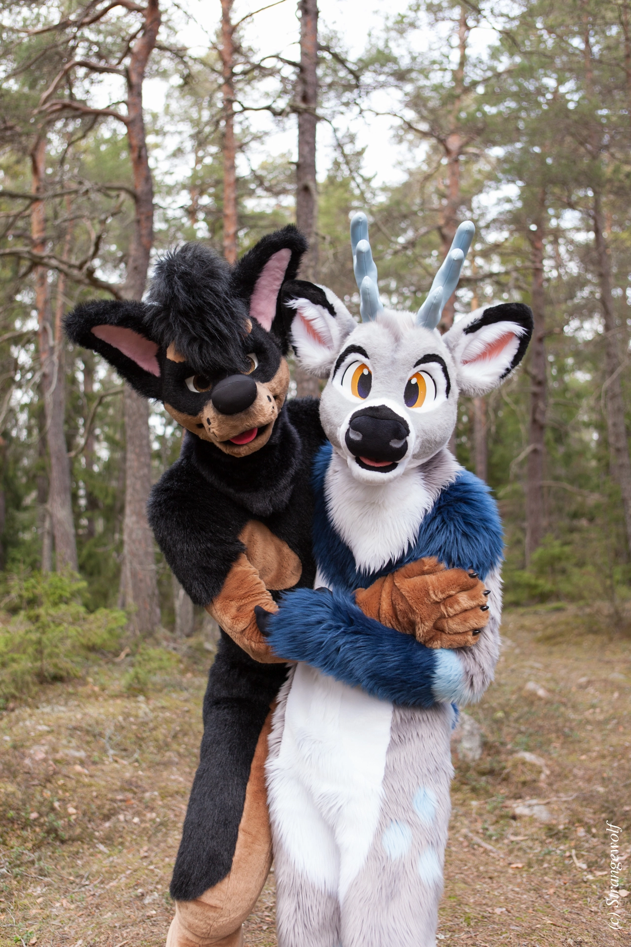 full image IMG_8668-lr19t.jpg