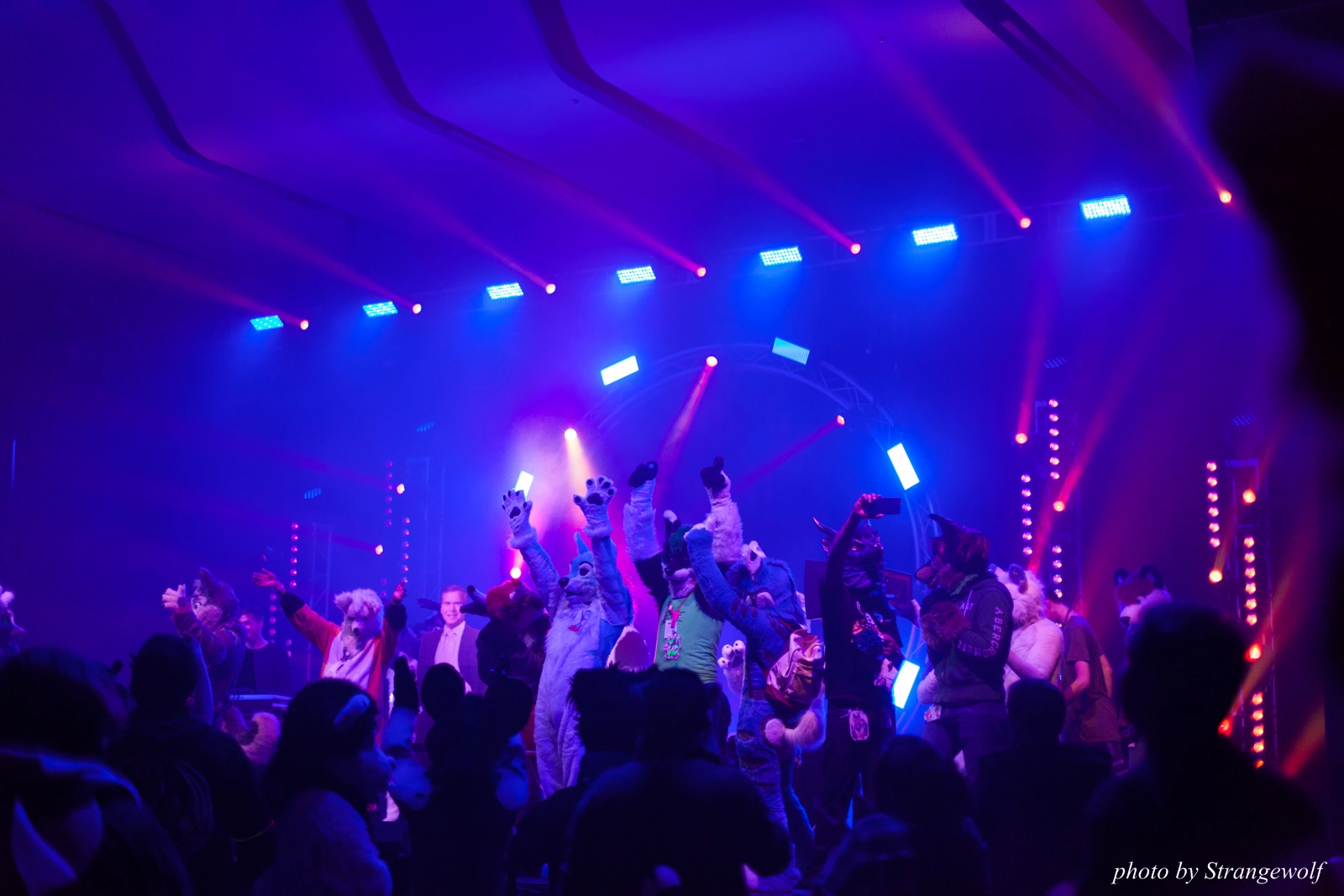 full image IMG_1362-lr16t.jpg