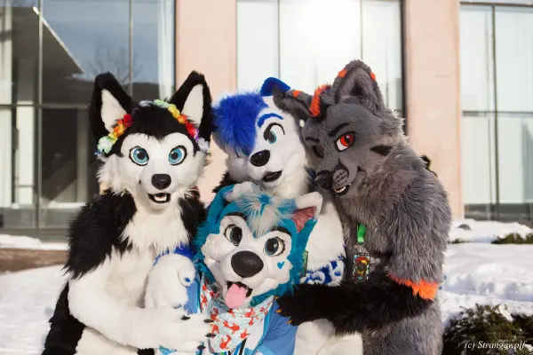 IMG_0032-lr19t.jpg of NFC/NFC2018/