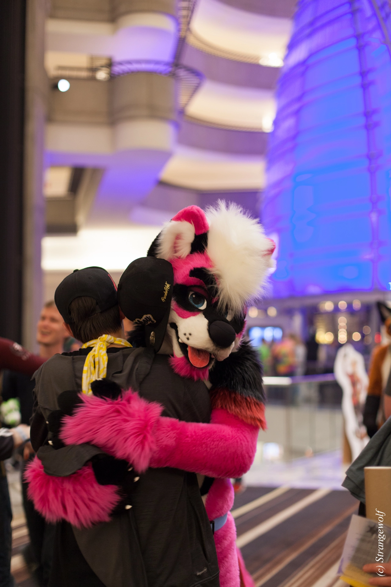 full image IMG_1401-lr19t.jpg