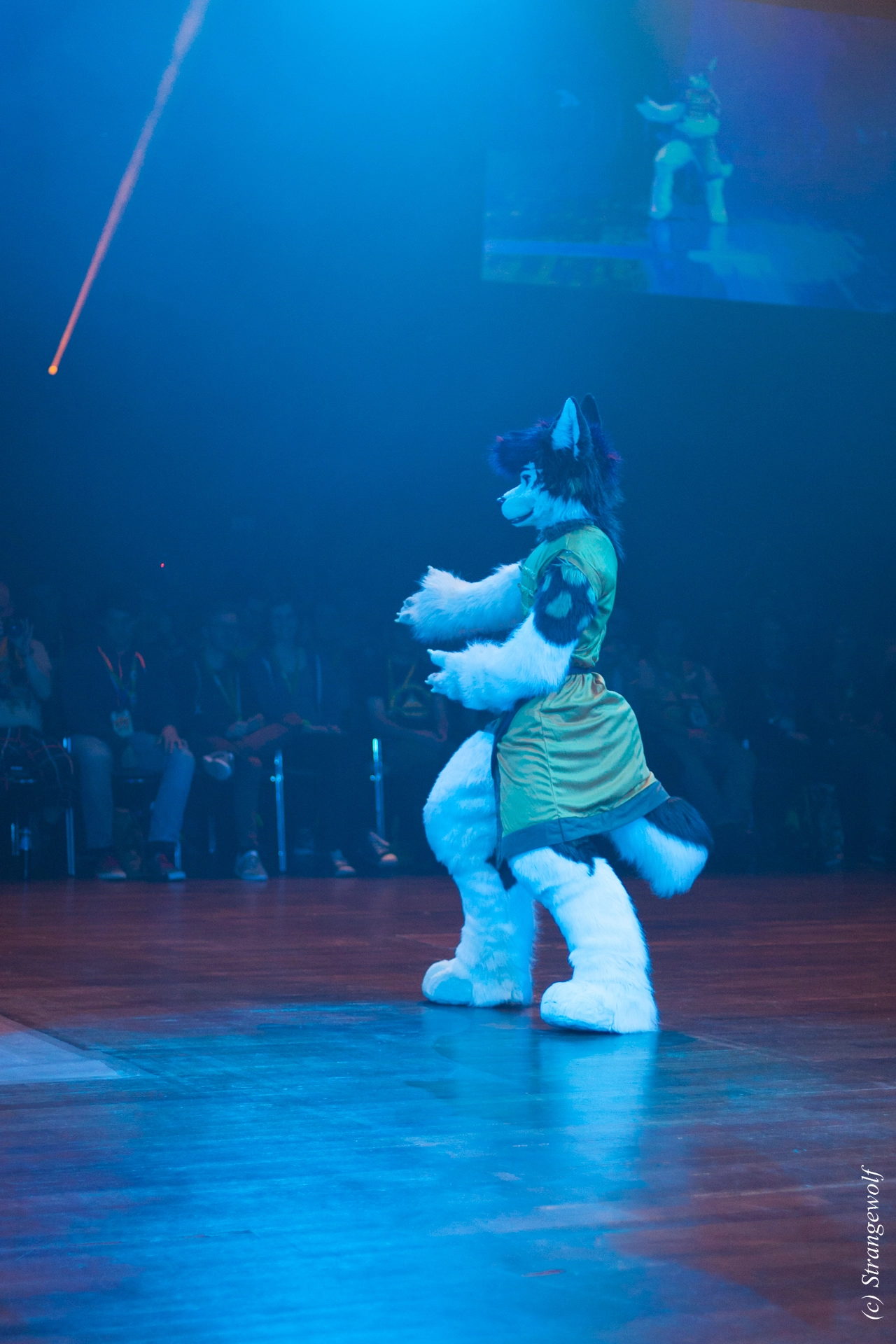 full image IMG_6430-lr19t.jpg