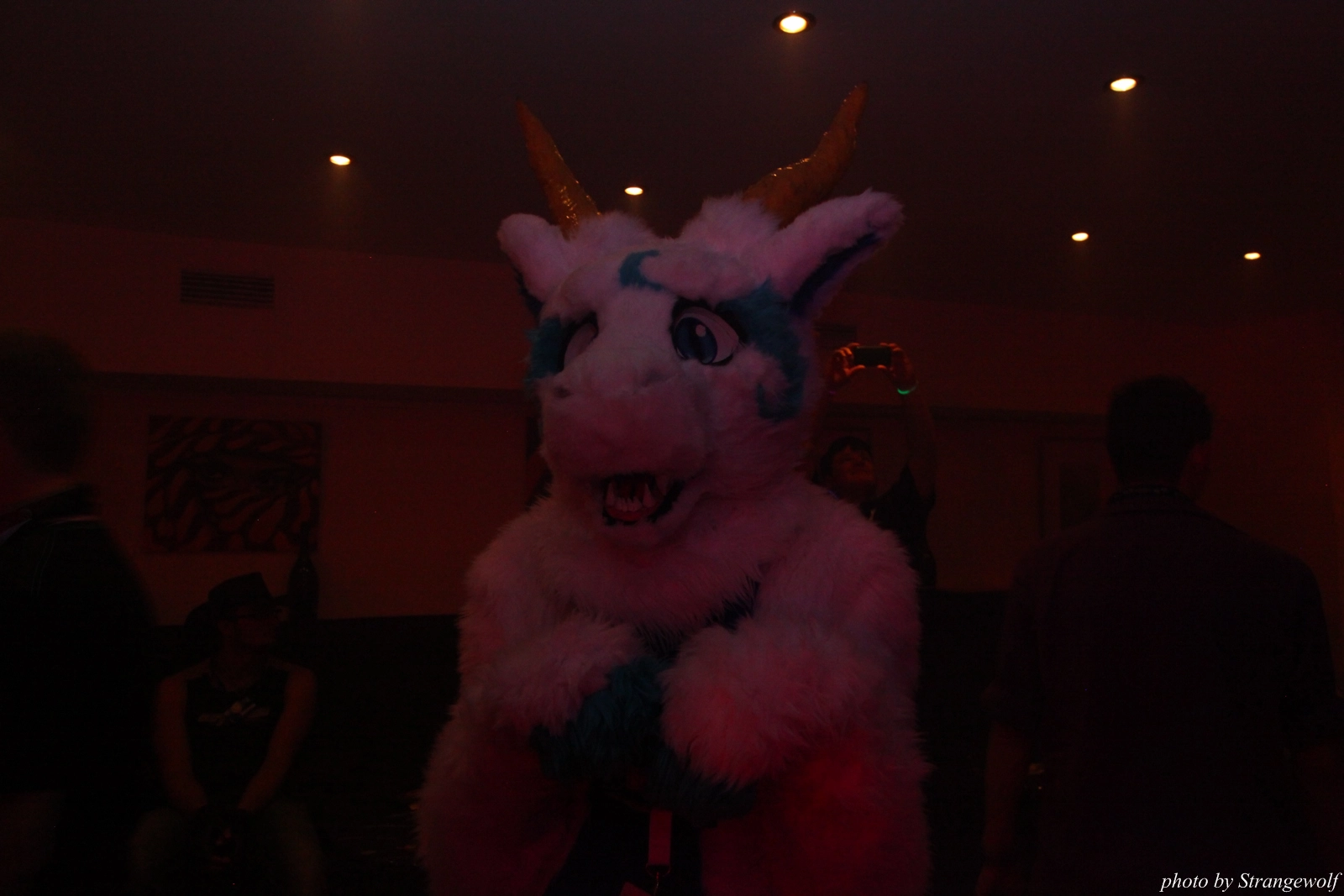 full image IMG_7556-lr16t.jpg