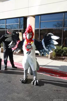 IMG_0910-lr.jpg of MFF/MFF2013/