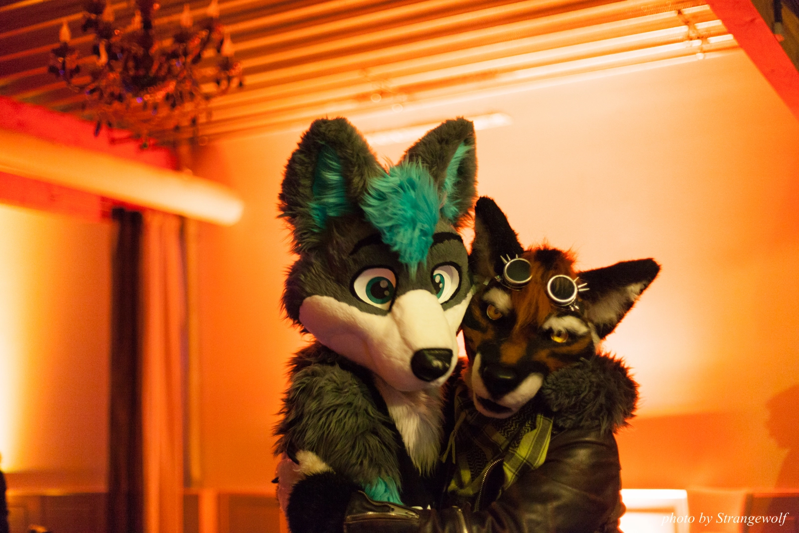 full image IMG_5340-lr16t.jpg