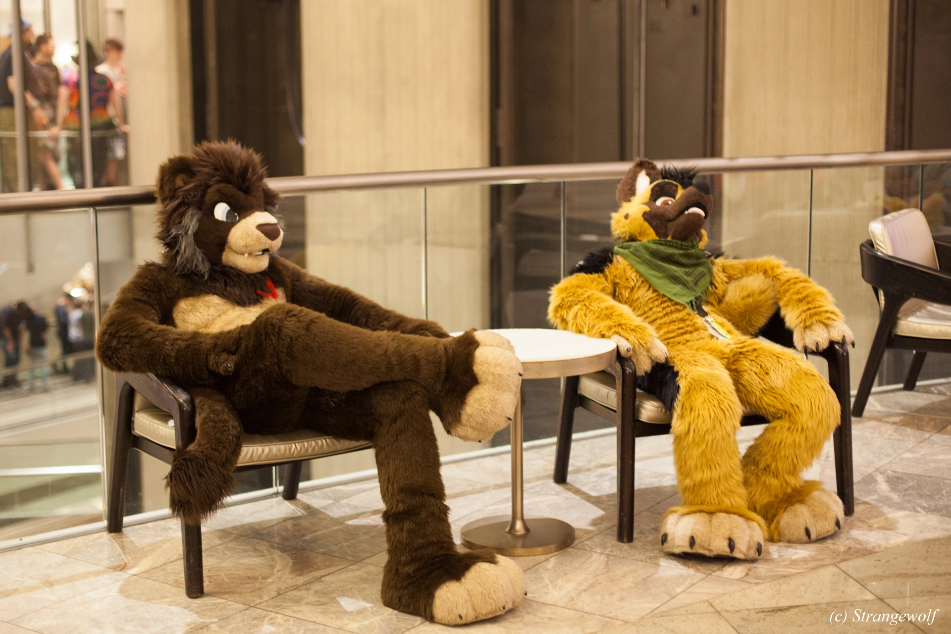 full image IMG_1356-lr19t.jpg