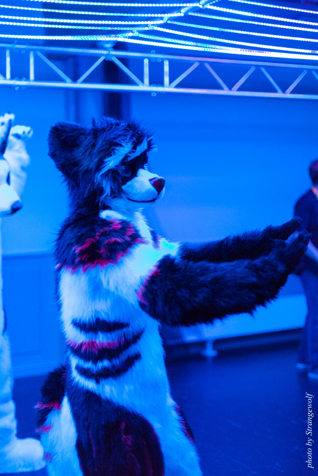 full image IMG_5431-lr16t.jpg