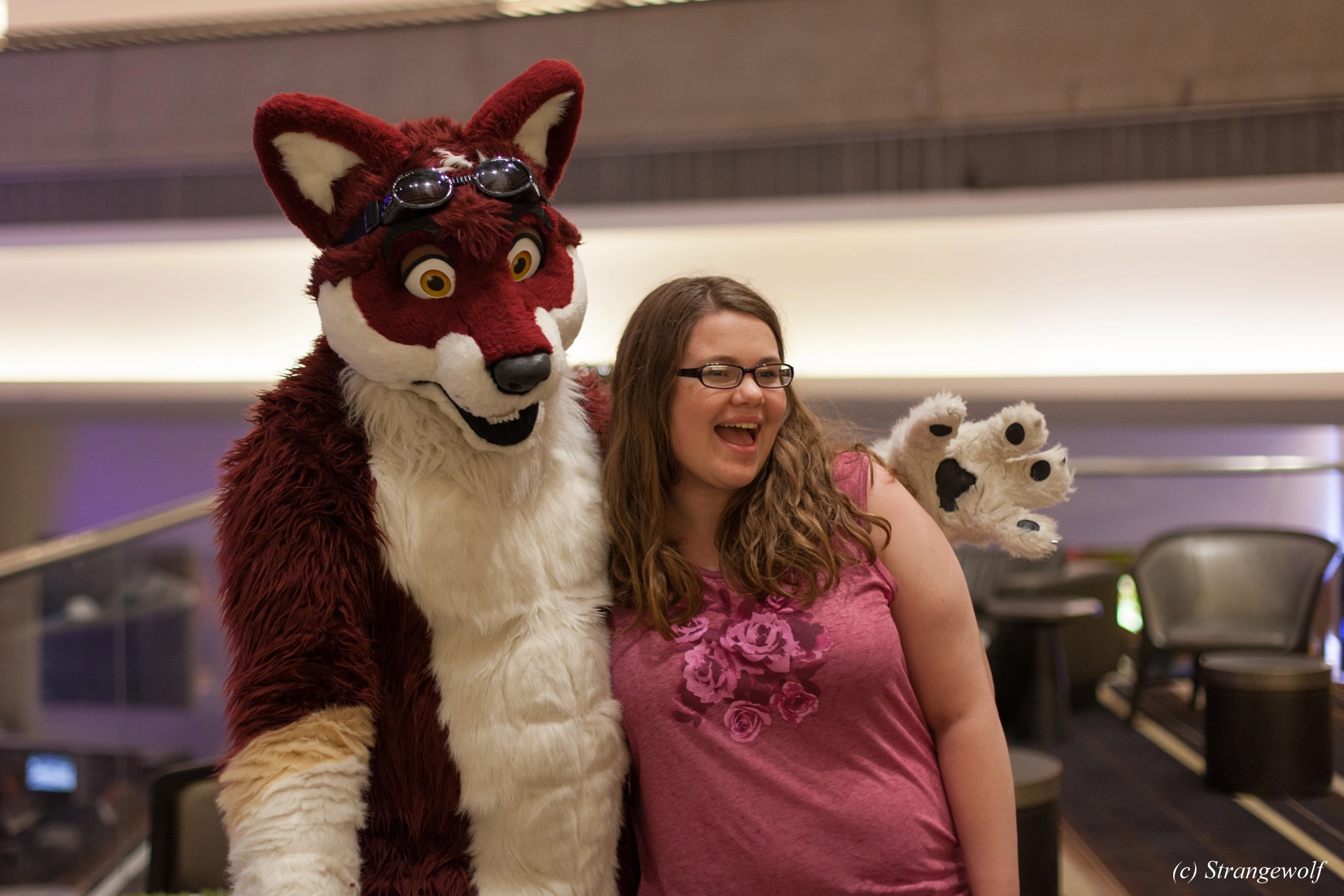 full image IMG_1397-lr19t.jpg