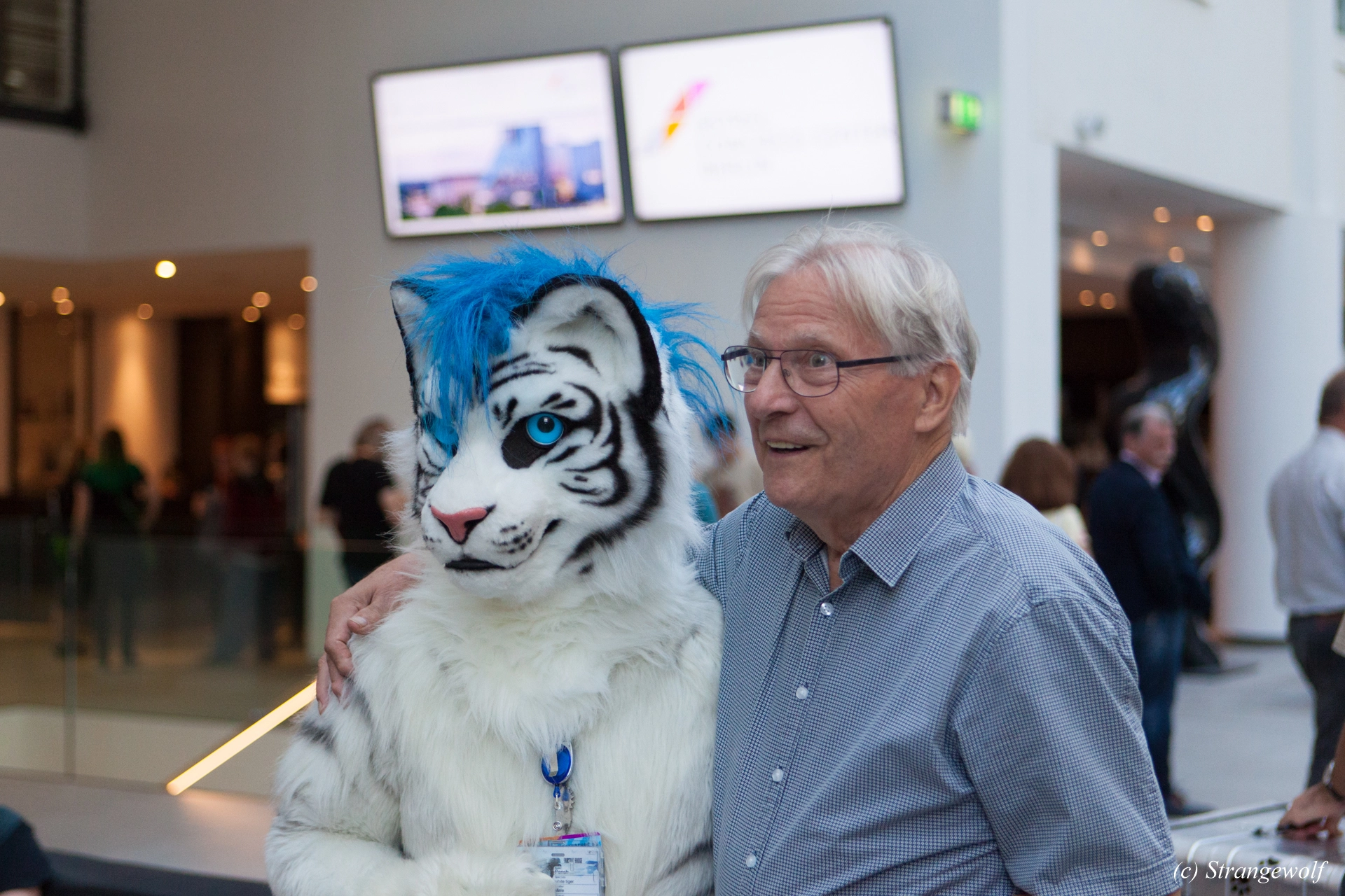 full image IMG_5435-lr19t.jpg