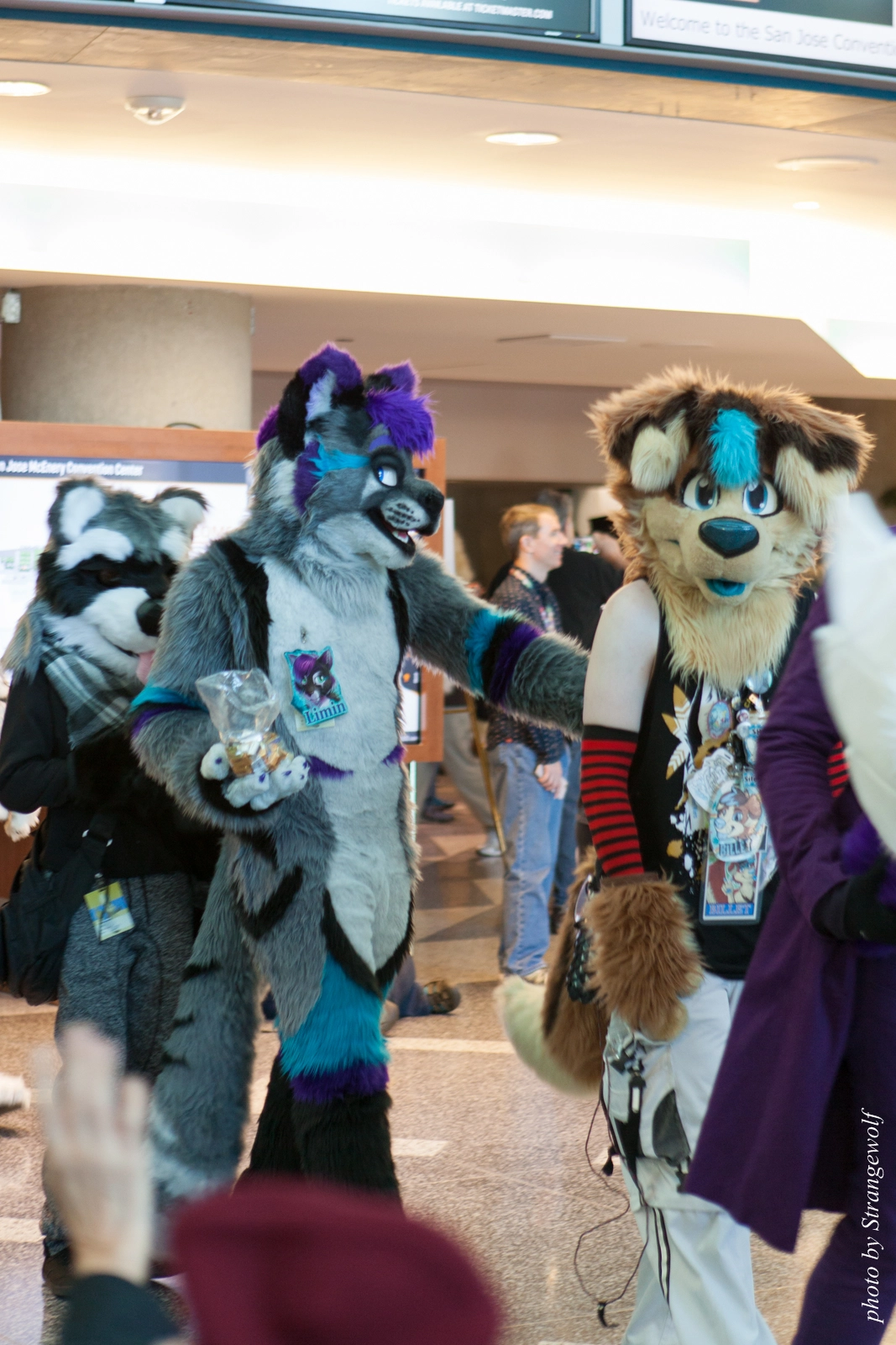 full image IMG_1078-lr16t.jpg