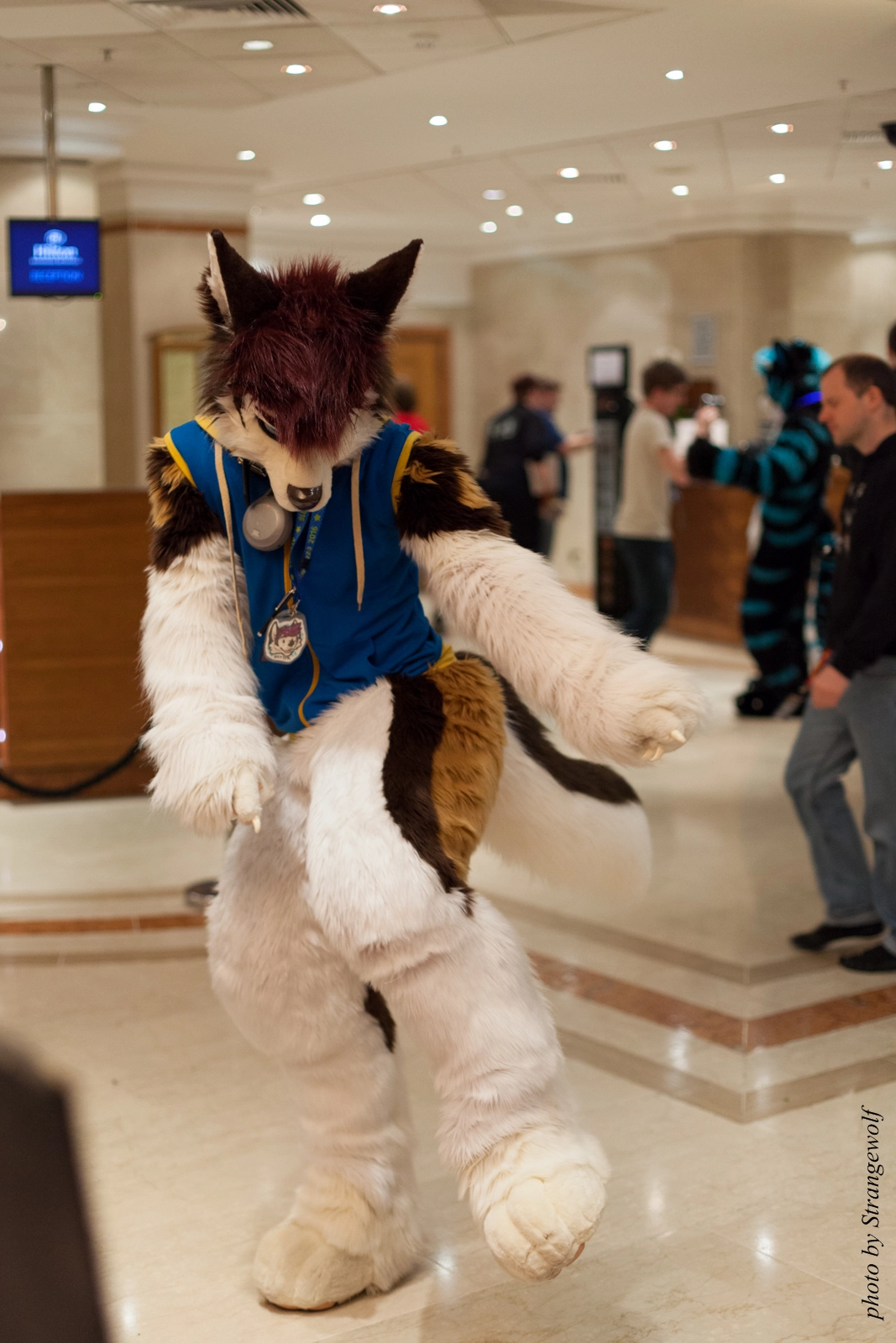 full image IMG_7616-lr16t.jpg