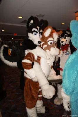 IMG_1120-lr.jpg of MFF/MFF2013/