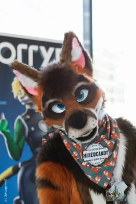 IMG_4756-lr19t.jpg of EF/EF24/