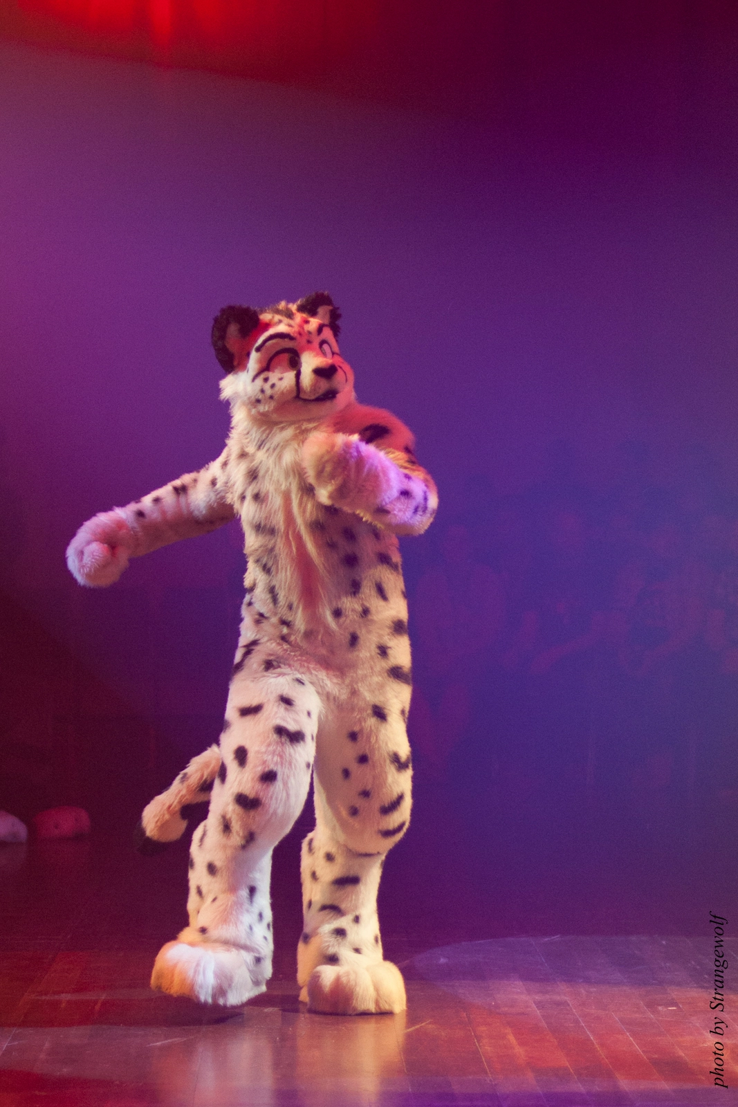 full image IMG_2547-lr16t.jpg