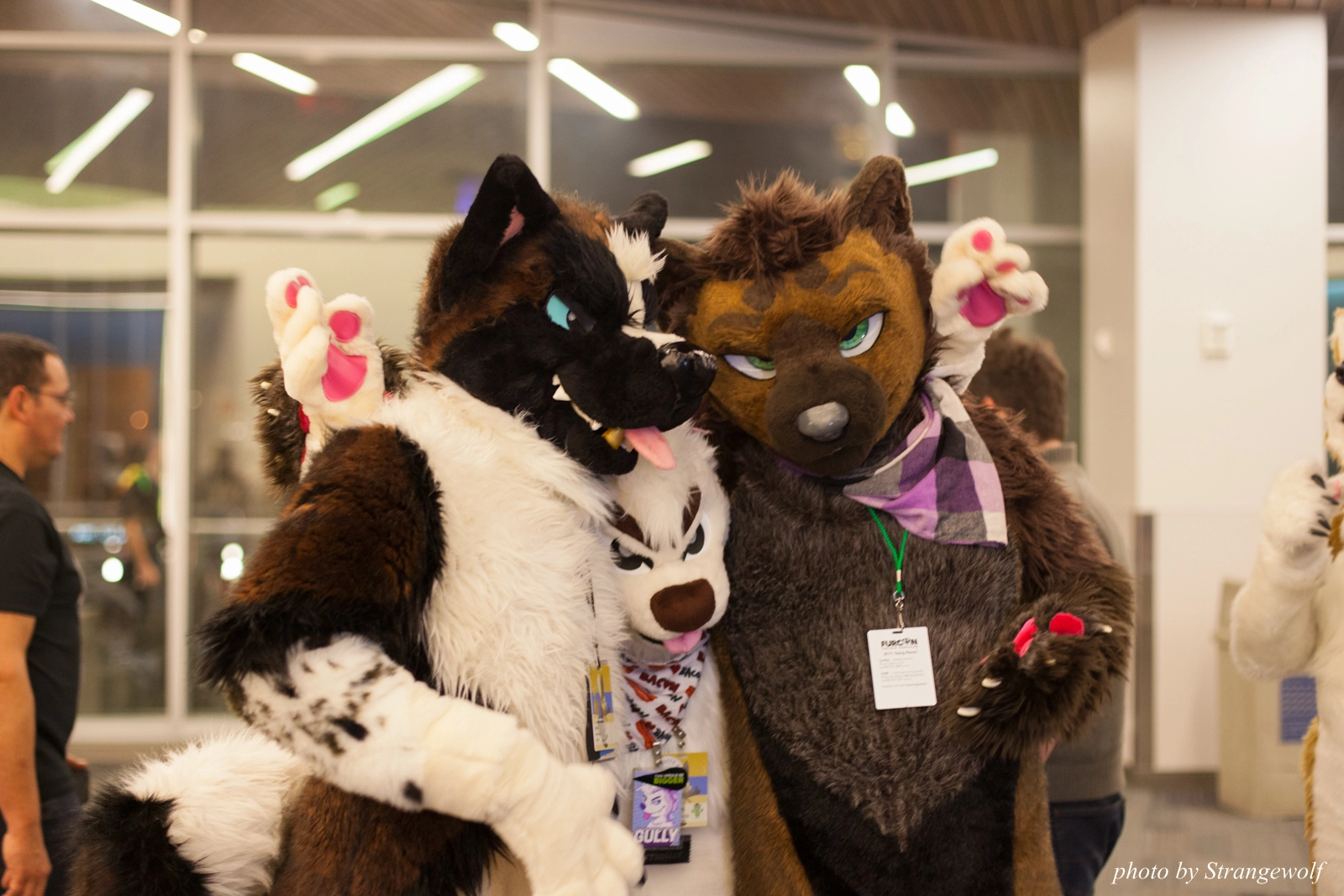 full image IMG_1203-lr16t.jpg