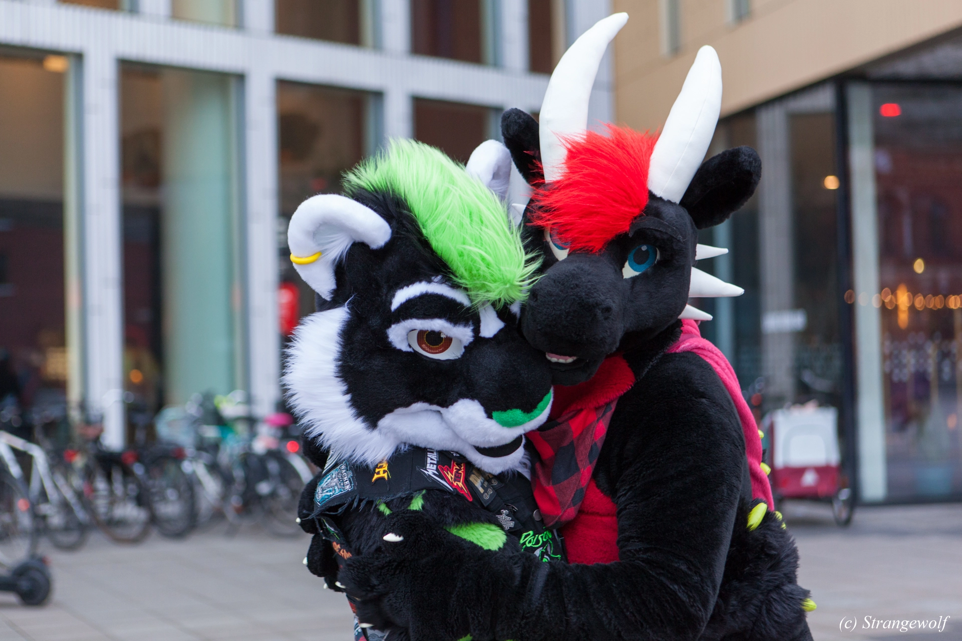 full image IMG_8572-lr19t.jpg