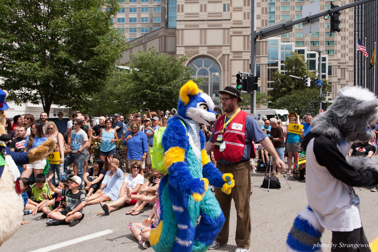 full image IMG_8052-lr16t.jpg