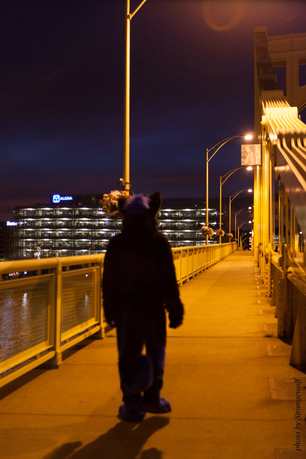 full image IMG_8456-lr16t.jpg