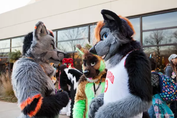 IMG_8198-lr19t.jpg of MFF/MFF2017/