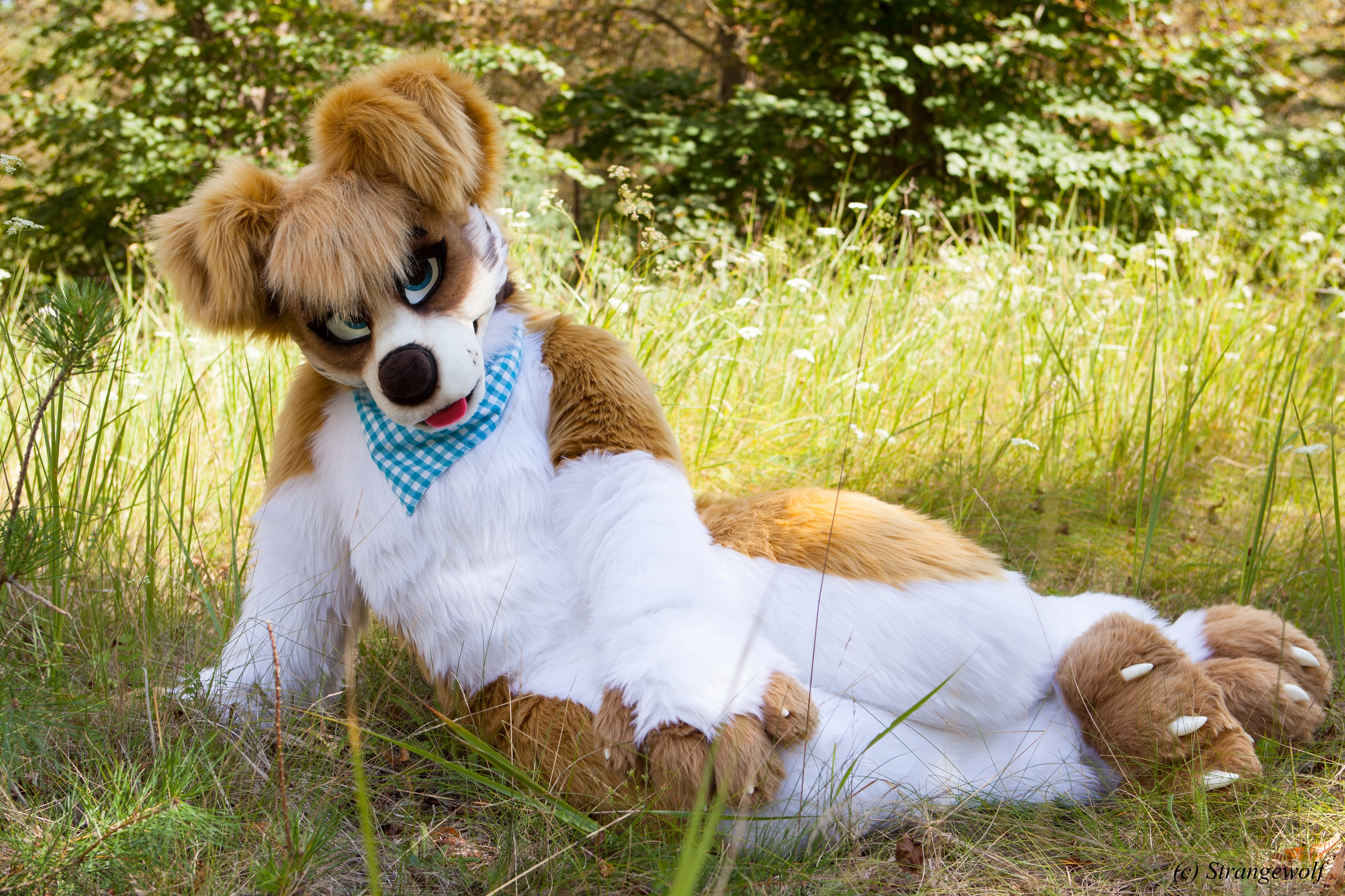 full image IMG_6273-lr.jpg