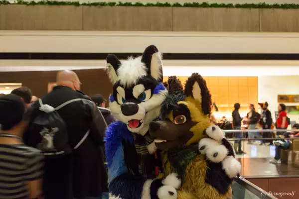 IMG_8268-lr19t.jpg of MFF/MFF2017/