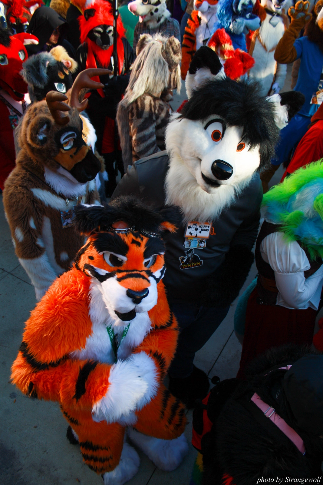 full image IMG_0688-lr.jpg