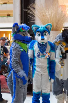 IMG_8538-lr19t.jpg of MFF/MFF2017/