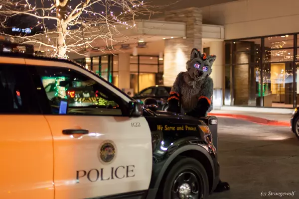 IMG_8043-lr19t.jpg of MFF/MFF2017/