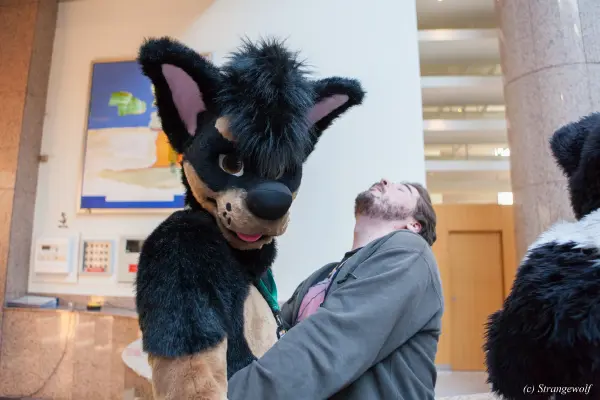 IMG_8749-lr19t.jpg of NFC/NFC2019/