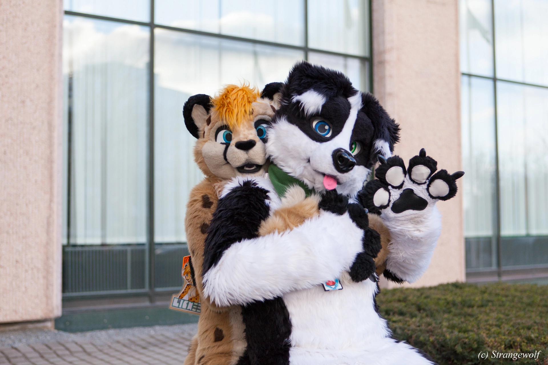 full image IMG_8816-lr19t.jpg