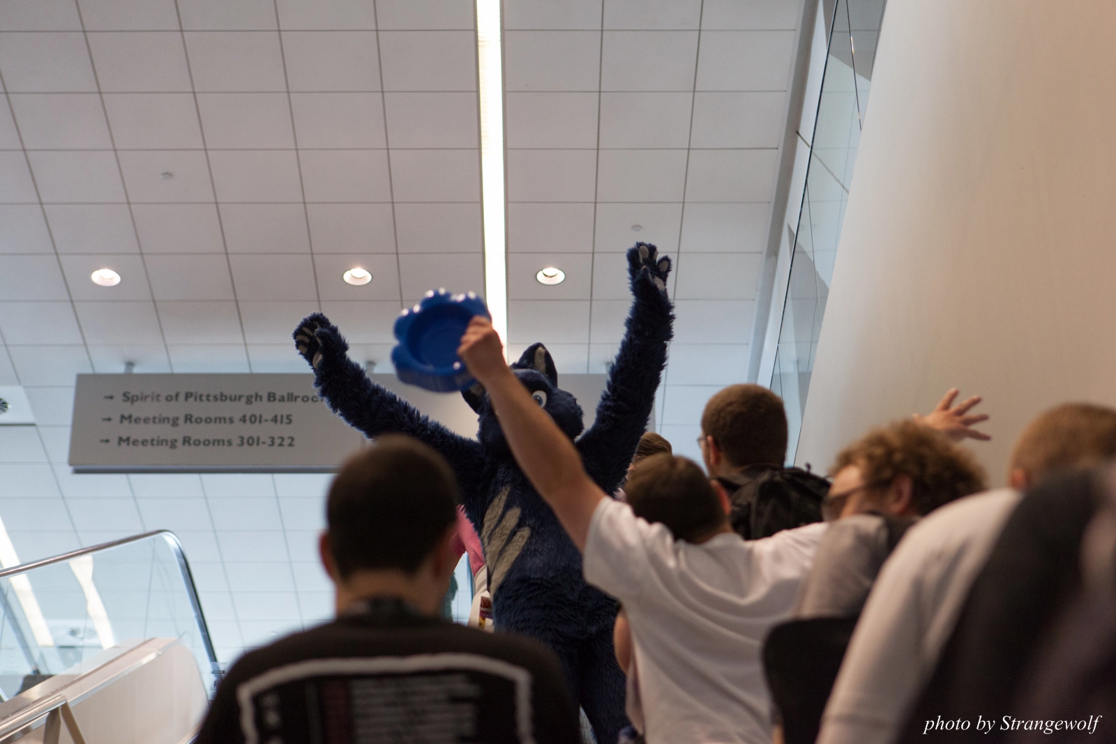 full image IMG_7997-lr16t.jpg