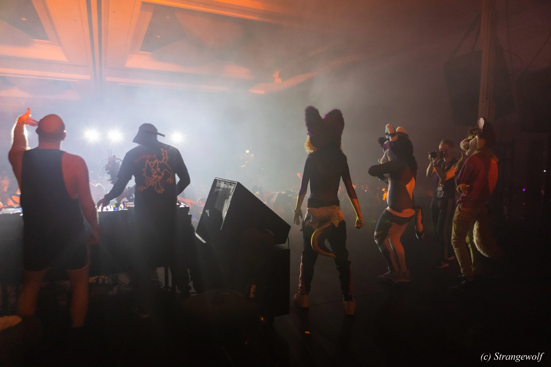 full image 1R3A7032-lr19t.jpg