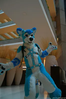 IMG_1063-lr.jpg of MFF/MFF2013/